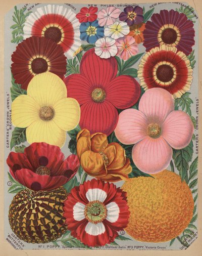 Página del catálogo de flores de English School